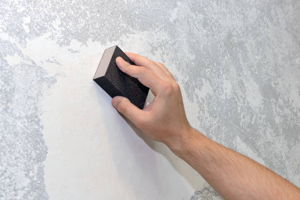 Best Mold Odor Removal Services  in Williamsport, PA