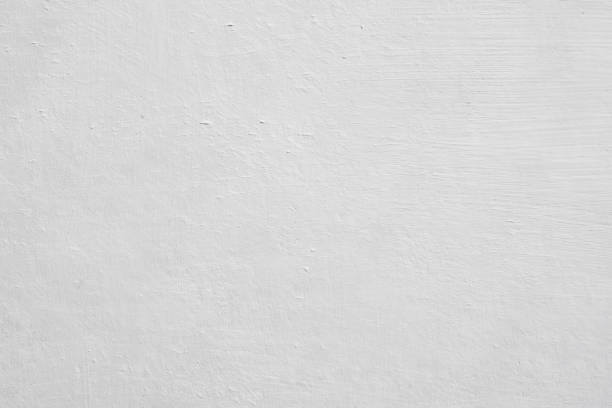 Best Basement Mold Removal  in Williamsport, PA