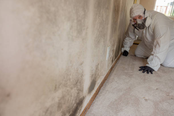 Best Biohazard Mold Removal  in Williamsport, PA