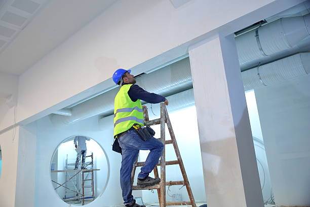  Williamsport, PA Mold Removal Pros